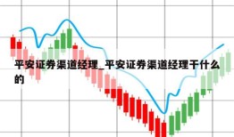 平安证券渠道经理_平安证券渠道经理干什么的