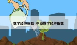 数字经济指数_中证数字经济指数