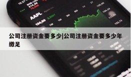 公司注册资金要多少|公司注册资金要多少年缴足