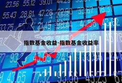 指数基金收益-指数基金收益率