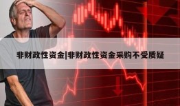 非财政性资金|非财政性资金采购不受质疑