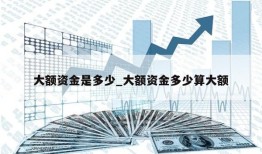 大额资金是多少_大额资金多少算大额