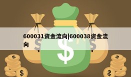 600031资金流向|600038资金流向