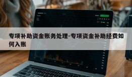 专项补助资金账务处理-专项资金补助经费如何入账