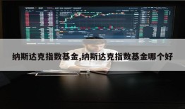 纳斯达克指数基金,纳斯达克指数基金哪个好