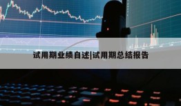 试用期业绩自述|试用期总结报告