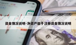 资金情况说明-净资产低于注册资金情况说明