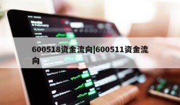 600518资金流向|600511资金流向