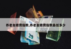 养老金缴费指数,养老金缴费指数最低多少