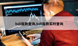 bdi指数查询,bdl指数实时查询