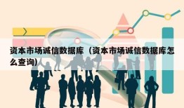 资本市场诚信数据库（资本市场诚信数据库怎么查询）