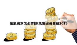 东旭资本怎么样|东旭集团资金链2019