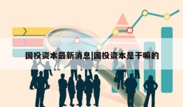 国投资本最新消息|国投资本是干嘛的