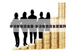 非法吸收资金罪-非法吸收资金罪案例