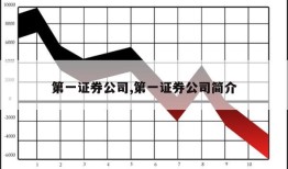 第一证券公司,第一证券公司简介