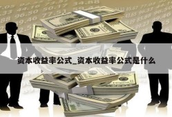 资本收益率公式_资本收益率公式是什么