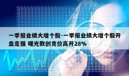 一季报业绩大增个股-一季报业绩大增个股开盘走强 曙光数创竞价高开28%