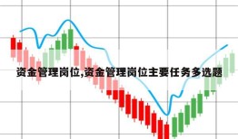 资金管理岗位,资金管理岗位主要任务多选题