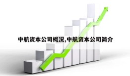 中航资本公司概况,中航资本公司简介