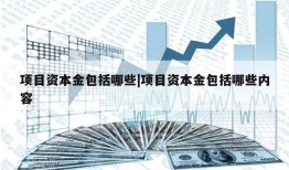 项目资本金包括哪些|项目资本金包括哪些内容