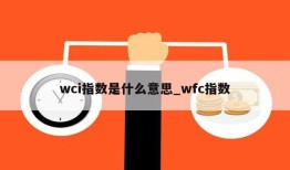 wci指数是什么意思_wfc指数