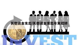 其他资金支出|其他资金支出年末结转