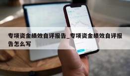 专项资金绩效自评报告_专项资金绩效自评报告怎么写