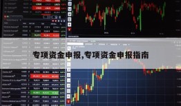 专项资金申报,专项资金申报指南