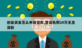 创业资金怎么申请贷款,营业执照20万无息贷款