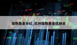 指数基金分红_红利指数基金优缺点