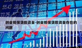 创业担保贷款资金-创业担保贷款资金存在的问题