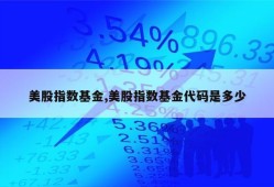 美股指数基金,美股指数基金代码是多少