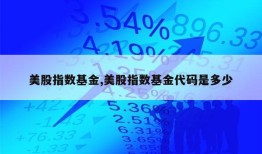 美股指数基金,美股指数基金代码是多少