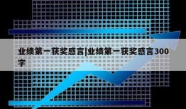 业绩第一获奖感言|业绩第一获奖感言300字