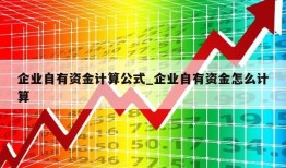 企业自有资金计算公式_企业自有资金怎么计算