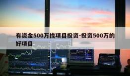 有资金500万找项目投资-投资500万的好项目