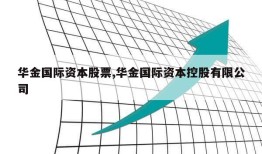 华金国际资本股票,华金国际资本控股有限公司