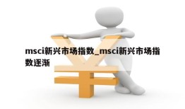 msci新兴市场指数_msci新兴市场指数逐渐