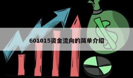 601015资金流向的简单介绍