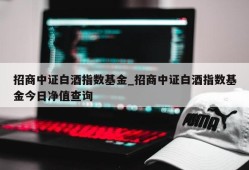 招商中证白酒指数基金_招商中证白酒指数基金今日净值查询