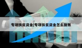 专项扶贫资金|专项扶贫资金怎么做账