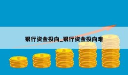 银行资金投向_银行资金投向难