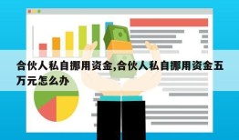 合伙人私自挪用资金,合伙人私自挪用资金五万元怎么办