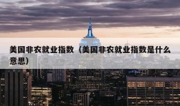 美国非农就业指数（美国非农就业指数是什么意思）