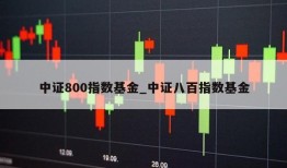 中证800指数基金_中证八百指数基金