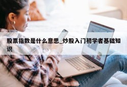 股票指数是什么意思_炒股入门初学者基础知识