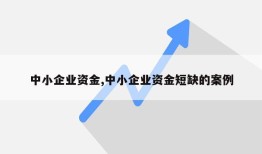 中小企业资金,中小企业资金短缺的案例