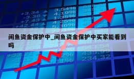 闲鱼资金保护中_闲鱼资金保护中买家能看到吗