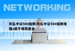 天弘中证500指数|天弘中证500指数增强a属于哪类基金