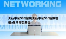 天弘中证500指数|天弘中证500指数增强a属于哪类基金